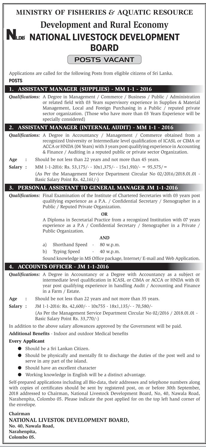 Assistant Manager (Supplies, Internal Audit), Personal Assistant to GM, Accounts Officer - National Livestock Development Board